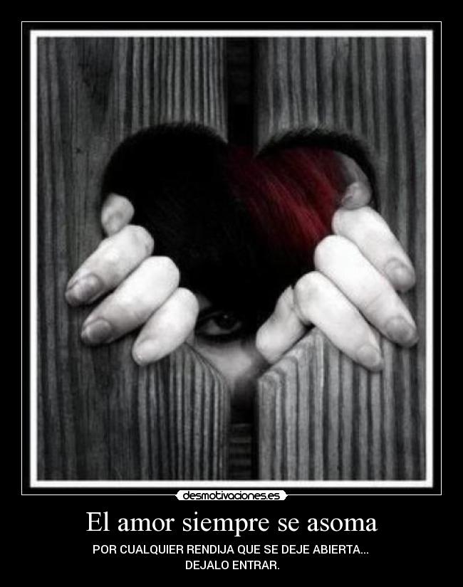 El amor siempre se asoma - POR CUALQUIER RENDIJA QUE SE DEJE ABIERTA...
DEJALO ENTRAR.