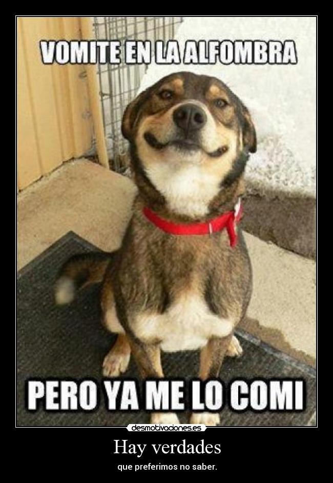 Hay verdades - que preferimos no saber.