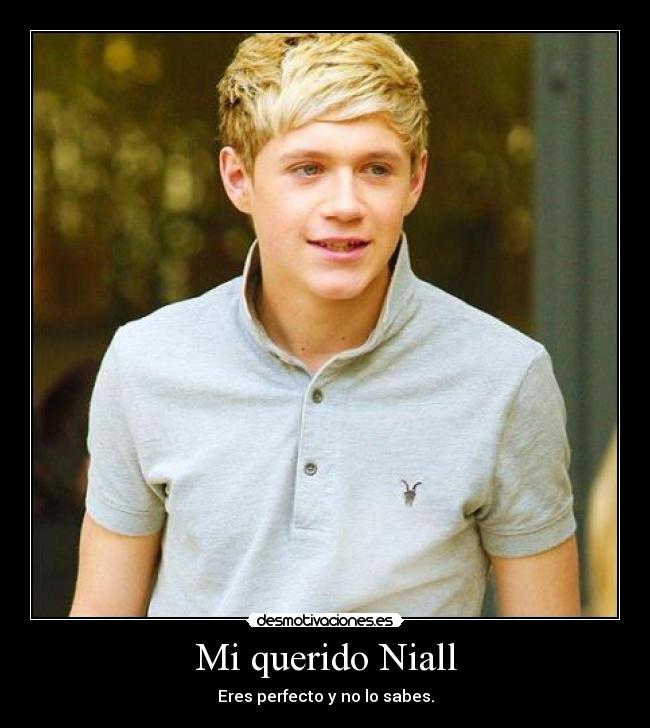 Mi querido Niall - Eres perfecto y no lo sabes.