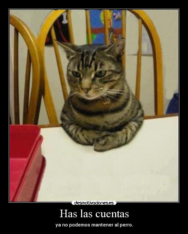 Has las cuentas - ya no podemos mantener al perro.