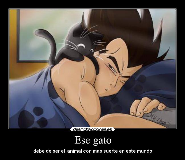 Ese gato -