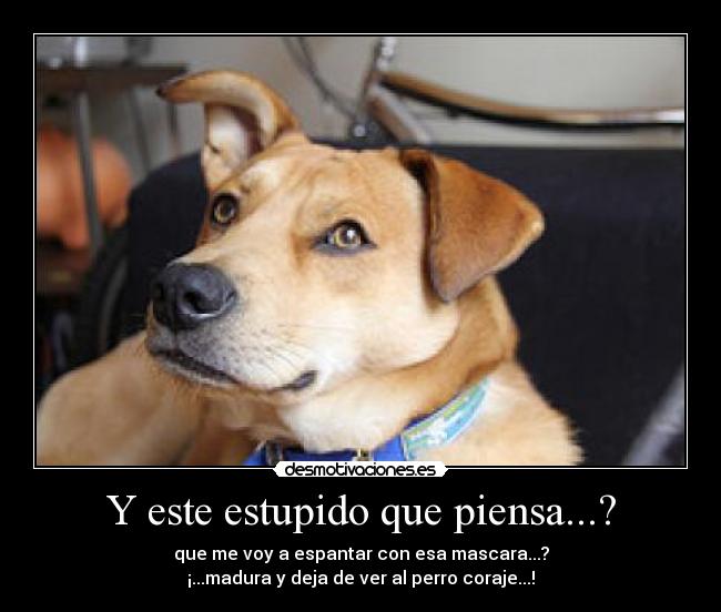 Y este estupido que piensa...? - 