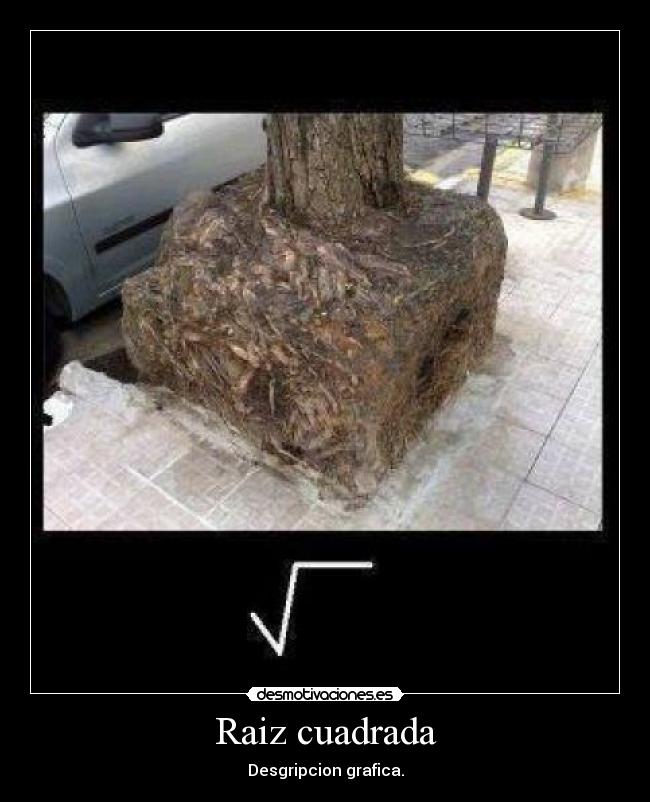 Raiz cuadrada - Desgripcion grafica.