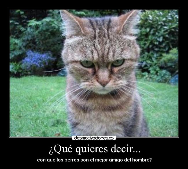 ¿Qué quieres decir... - con que los perros son el mejor amigo del hombre?