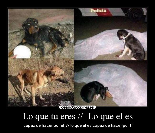 Lo que tu eres // Lo que el es -