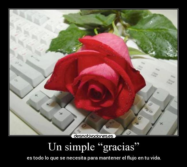 Un simple “gracias” - es todo lo que se necesita para mantener el flujo en tu vida.