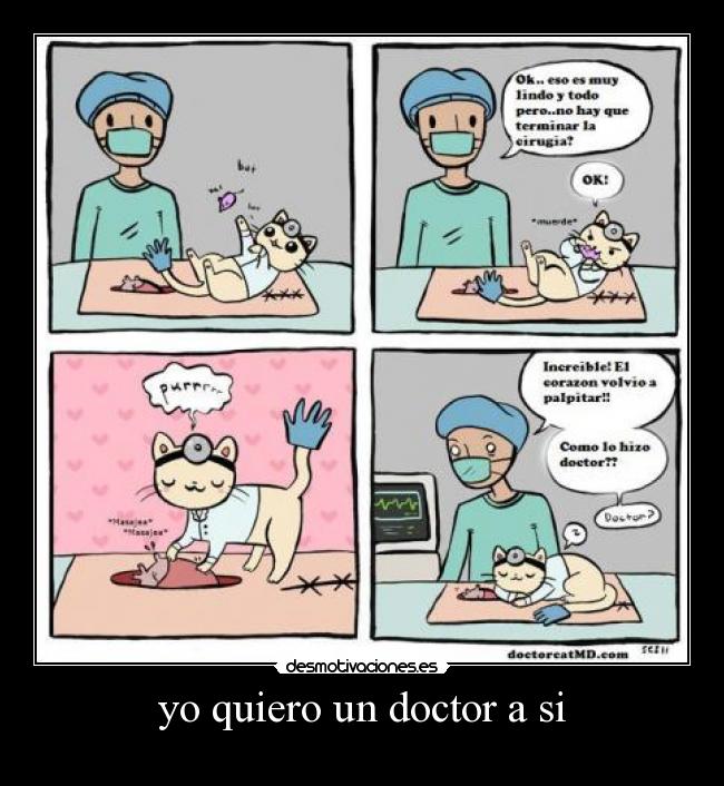 yo quiero un doctor a si -