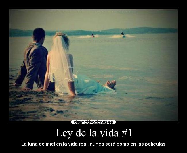 Ley de la vida #1 -