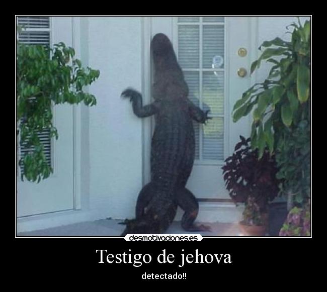 Testigo de jehova -