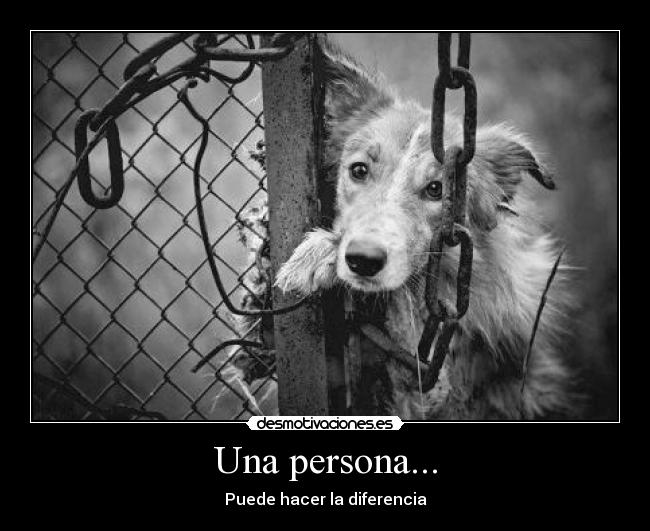 Una persona... - Puede hacer la diferencia