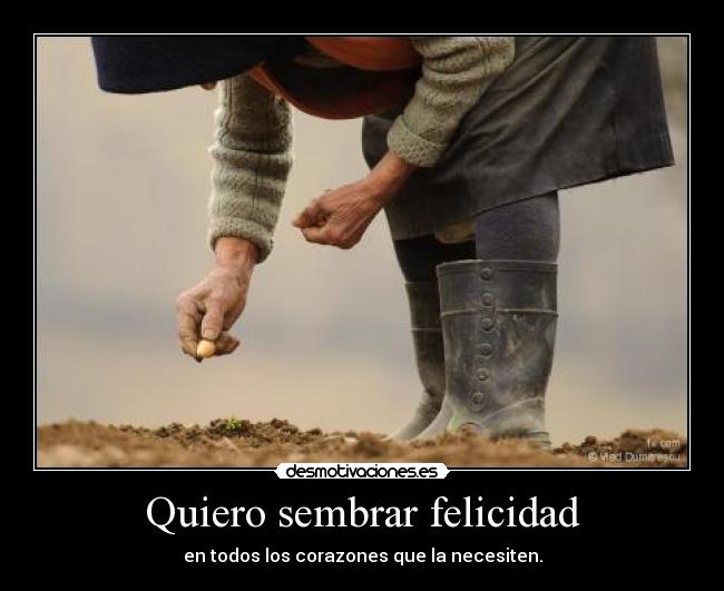 Quiero sembrar felicidad - 