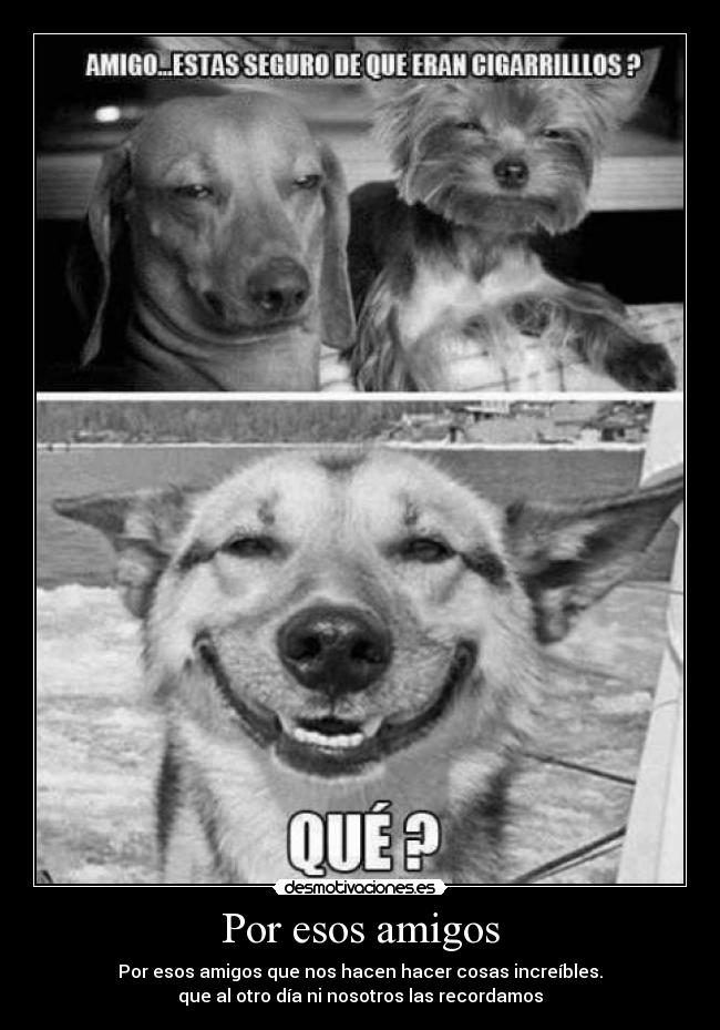 Por esos amigos - Por esos amigos que nos hacen hacer cosas increíbles.
que al otro día ni nosotros las recordamos