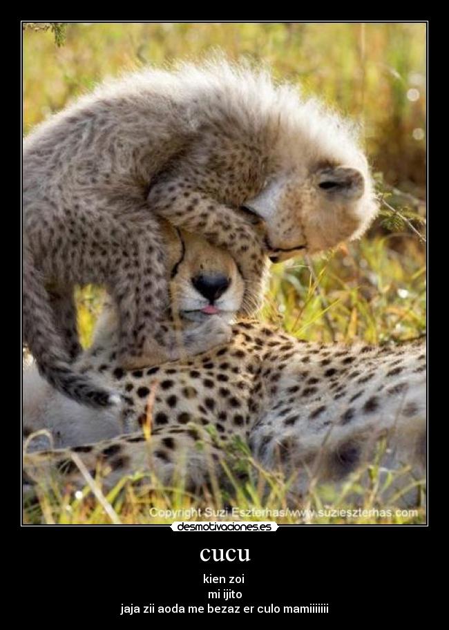 cucu - kien zoi
mi ijito
jaja zii aoda me bezaz er culo mamiiiiiii