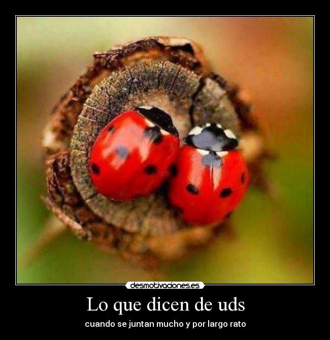 Lo que dicen de uds - 