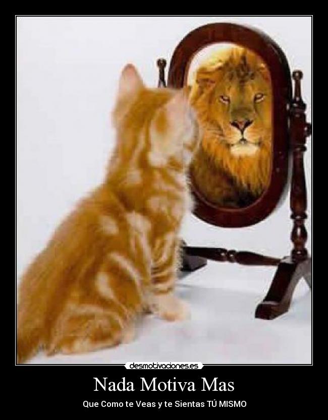 Nada Motiva Mas -