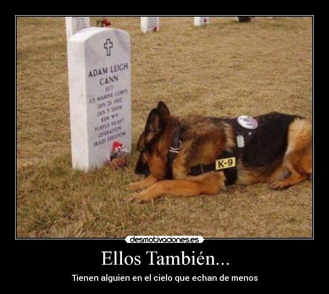 Ellos También... - Tienen alguien en el cielo que echan de menos