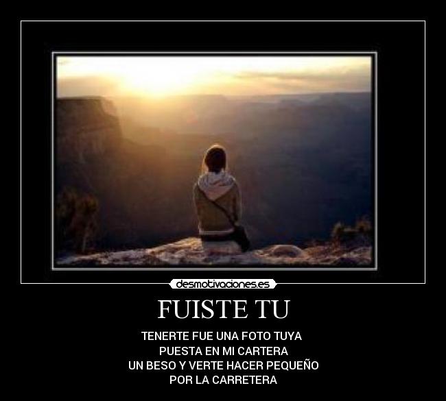 carteles fuiste desmotivaciones