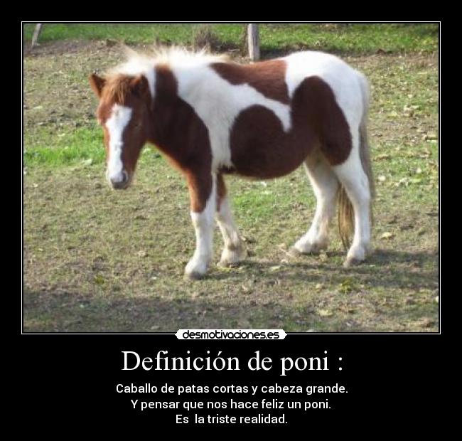 Definición de poni : - Caballo de patas cortas y cabeza grande.
Y pensar que nos hace feliz un poni.
Es la triste realidad.