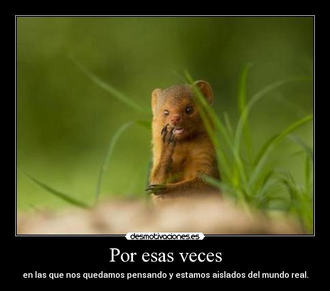 Por esas veces - 