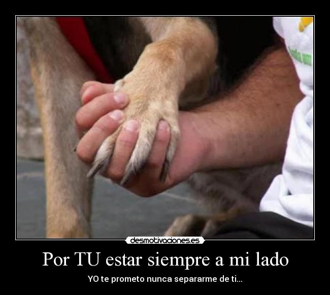 Por TU estar siempre a mi lado - 
