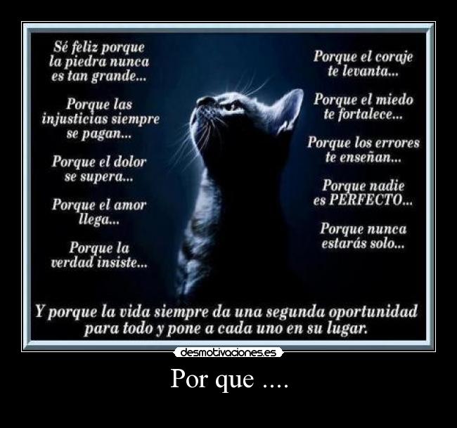Por que .... - 