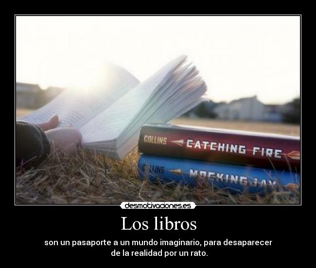 Los libros - son un pasaporte a un mundo imaginario, para desaparecer
de la realidad por un rato.