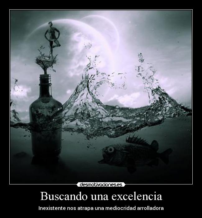 carteles amm desmotivaciones