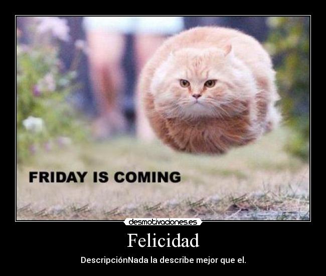 Felicidad - DescripciónNada la describe mejor que el.
