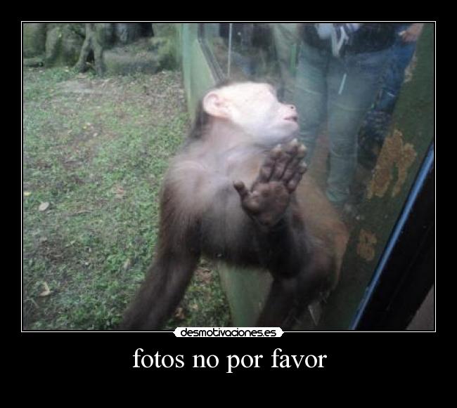 fotos no por favor -