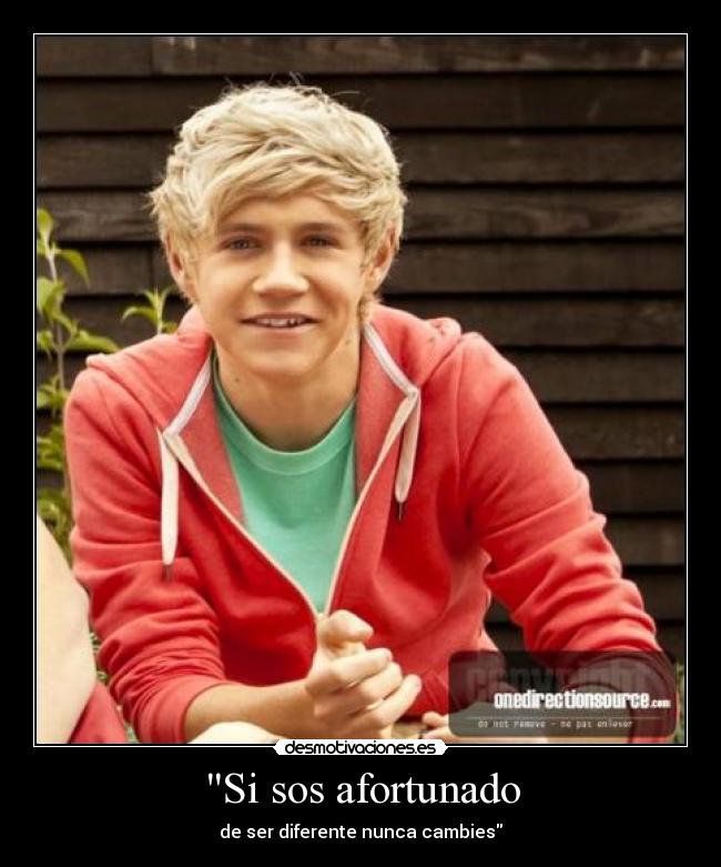 carteles corii blousson desmotivaciones