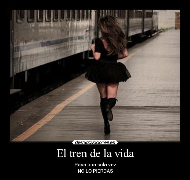El tren de la vida - 