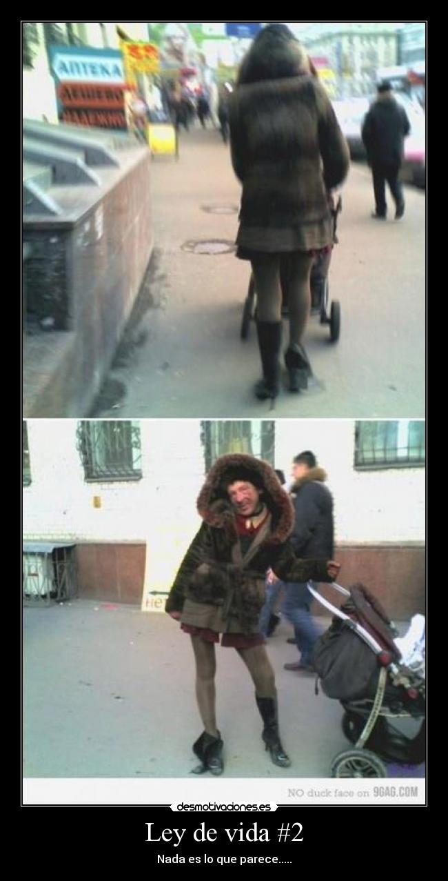 Ley de vida #2 - Nada es lo que parece.....