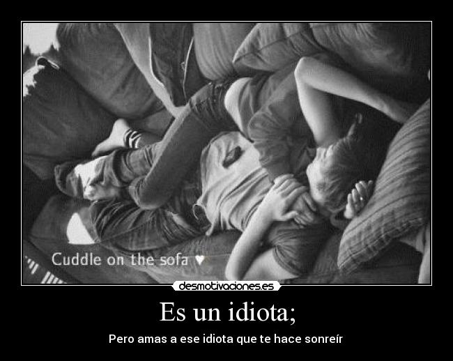 Es un idiota; - 