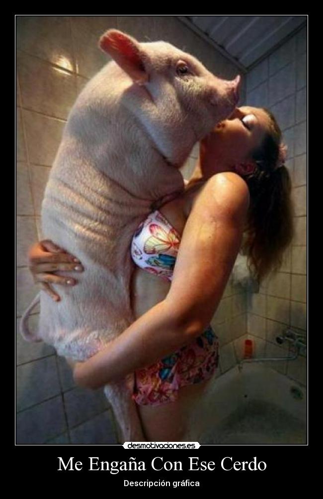 Me Engaña Con Ese Cerdo - Descripción gráfica