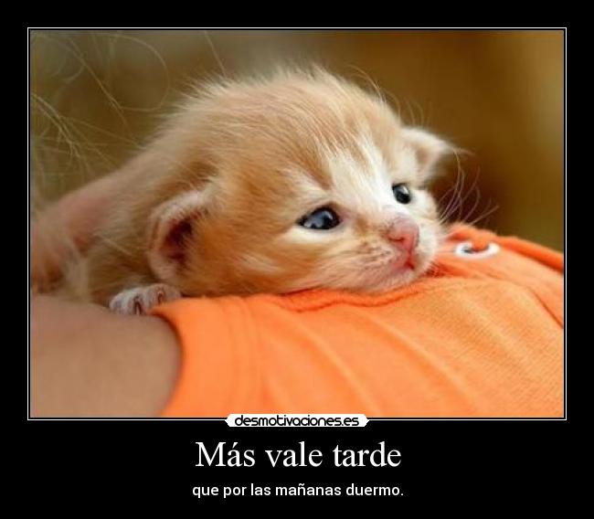 Más vale tarde - 