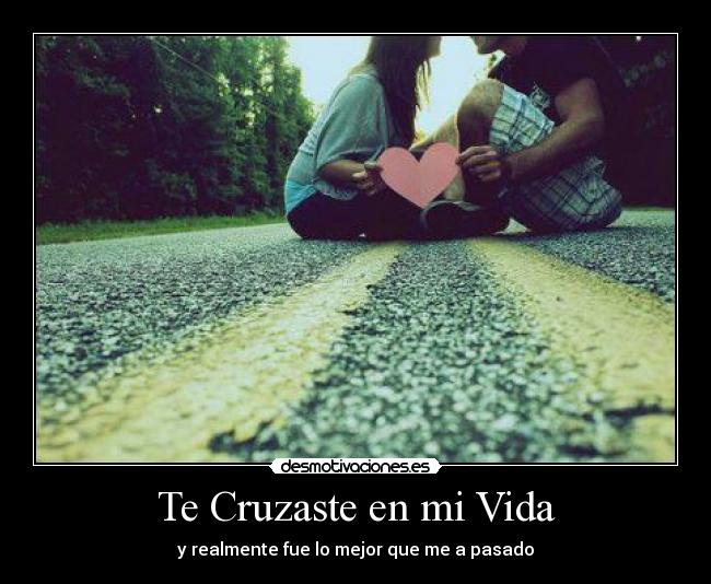 Te Cruzaste en mi Vida -