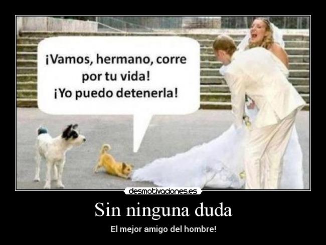 Sin ninguna duda - El mejor amigo del hombre!