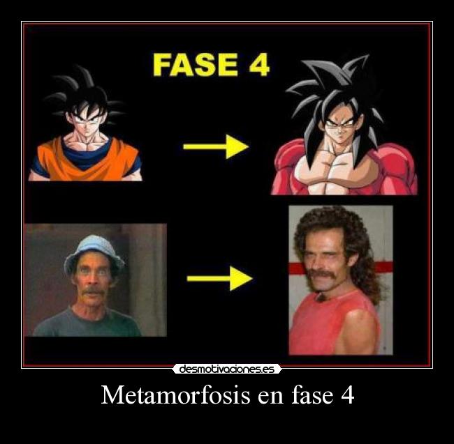 Metamorfosis en fase 4 - 