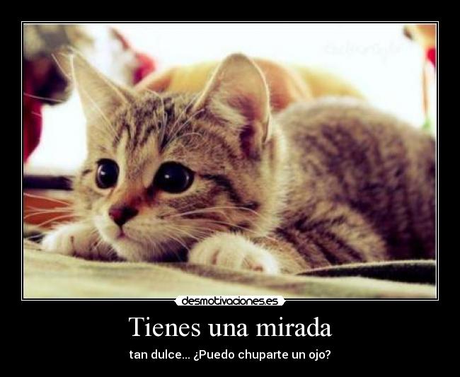 Tienes una mirada - 