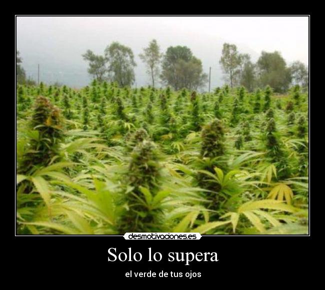Solo lo supera - el verde de tus ojos
