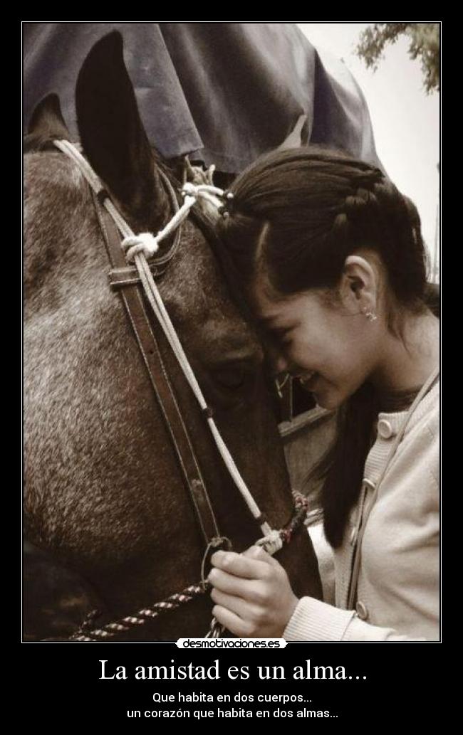 La amistad es un alma... -