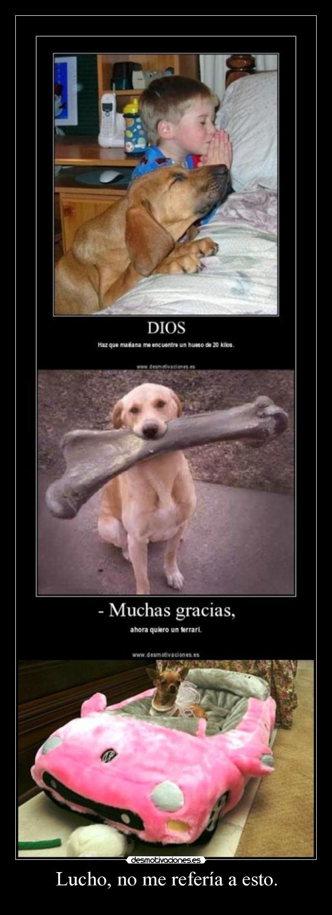 Lucho, no me refería a esto. -