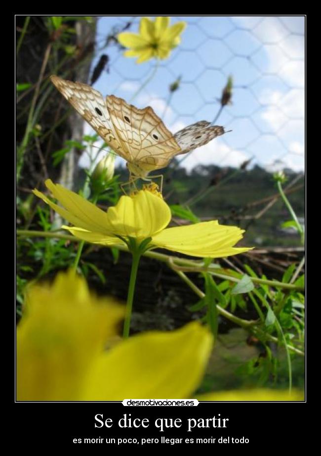 carteles partida desmotivaciones
