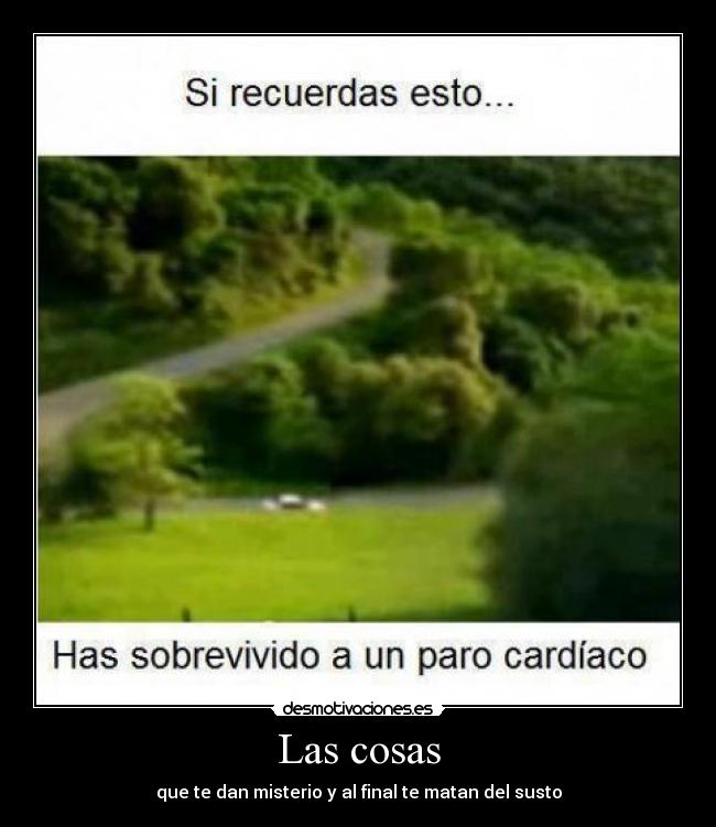Las cosas -