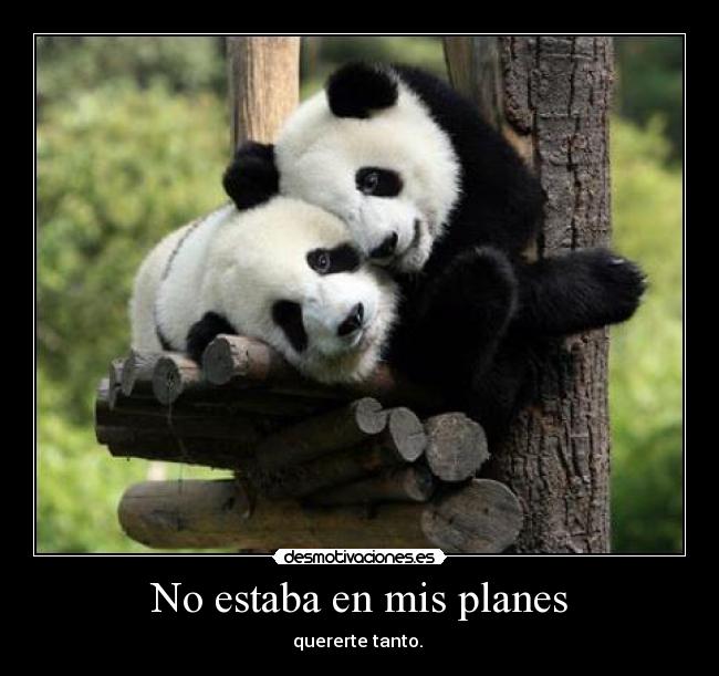 No estaba en mis planes - quererte tanto.