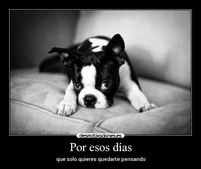 Por esos días - que solo quieres quedarte pensando