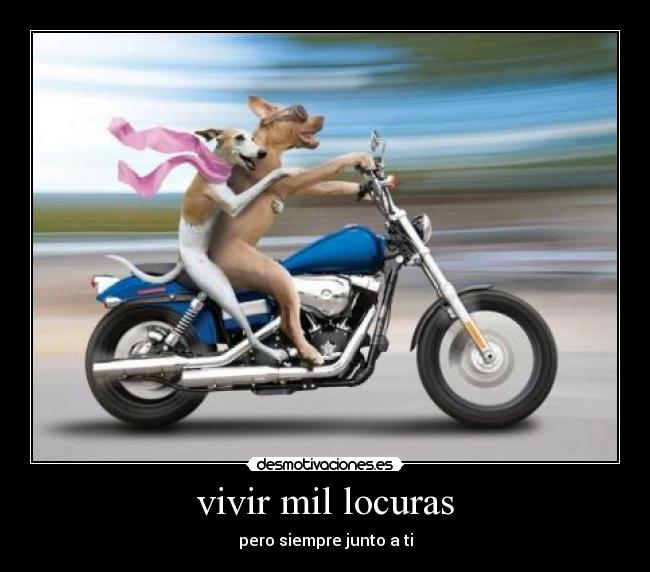 vivir mil locuras - pero siempre junto a ti