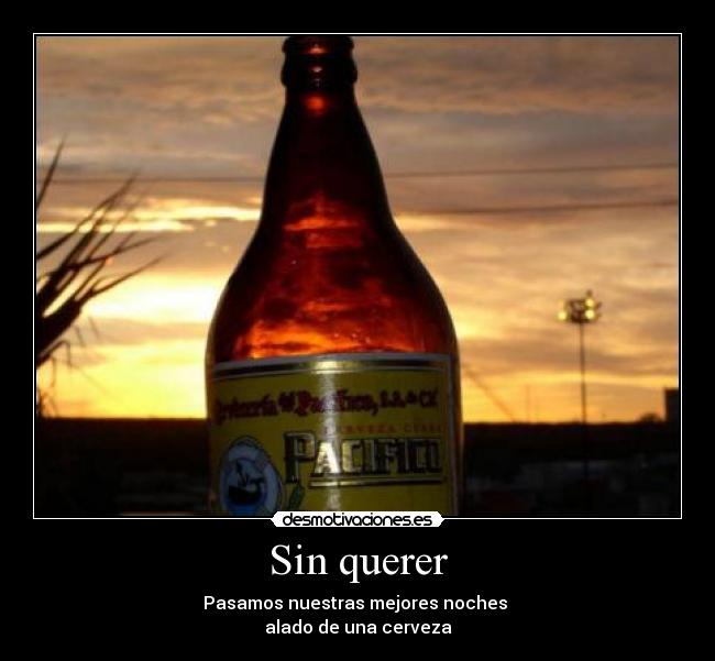 Sin querer - Pasamos nuestras mejores noches
alado de una cerveza