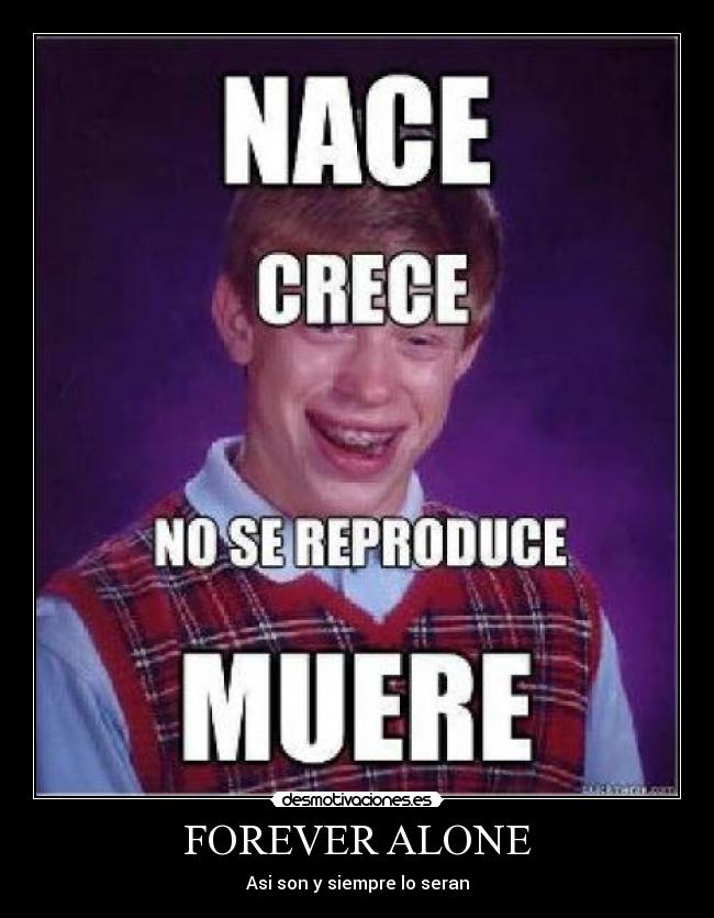 FOREVER ALONE -