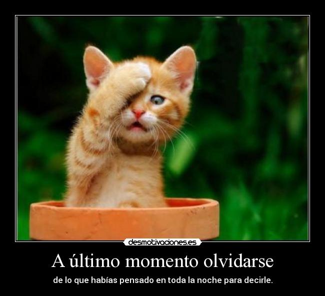 A último momento olvidarse - de lo que habías pensado en toda la noche para decirle.